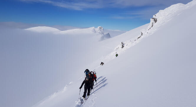 Une bien belle journée ce dimanche 4 février 2018 image article