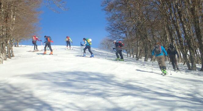Sortie ski de randonnée alpine le 24 février 2018. image article
