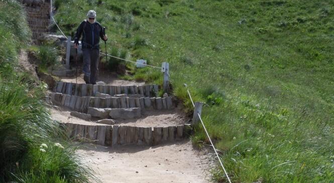 Rénovation de sentier - Crêtes du Sancy image article