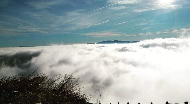 Sortie trail au puy de Dôme avec les Urban Runners image article