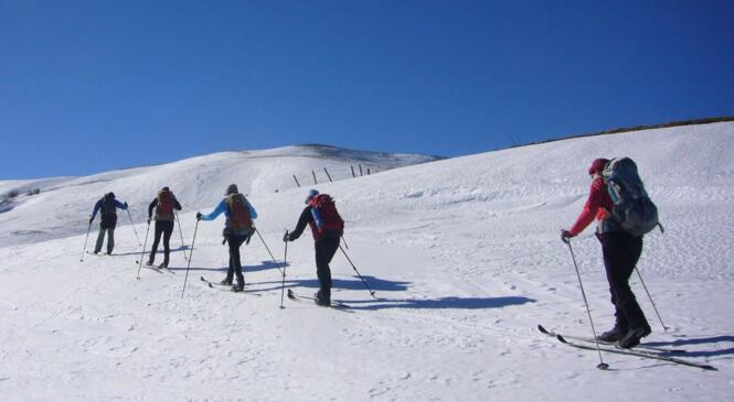 Ski nordique dans les monts du Cézallier, samedi 16 et dimanche 17 février. image article