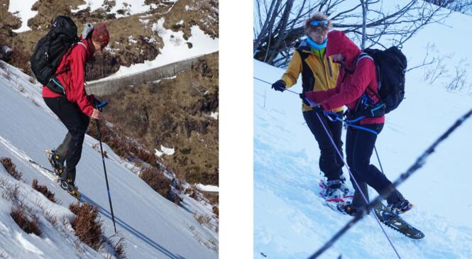 Formation autonomie raquette interclubs dans le Sancy image article