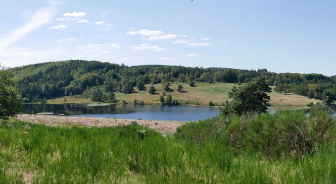 Week-end de rentrée en Corrèze les 13 et 14 septembre 2020. Sous le signe des étangs et du soleil… image article