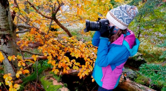 Que la Montagne est Belle 2020, sur le thème de la photo image article