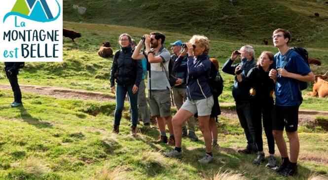 Que La Montagne est Belle 2021 - Faune de nos montagnes et randonnée image article