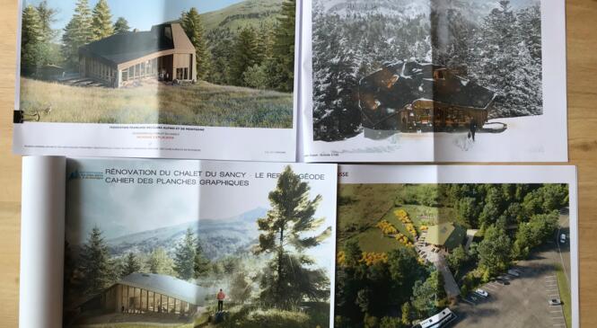 image article