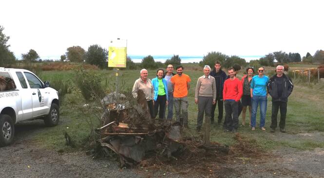 Restauration de la tourbière de Jouvion. image article