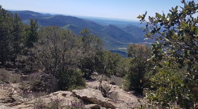 Les Montagnes du Haut-Languedoc au printemps image article