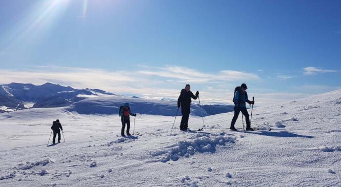 Première neige en Auvergne. image article