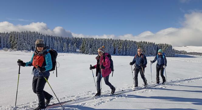 Initiation au ski de randonnée nordique le 15 décembre 2024. image article