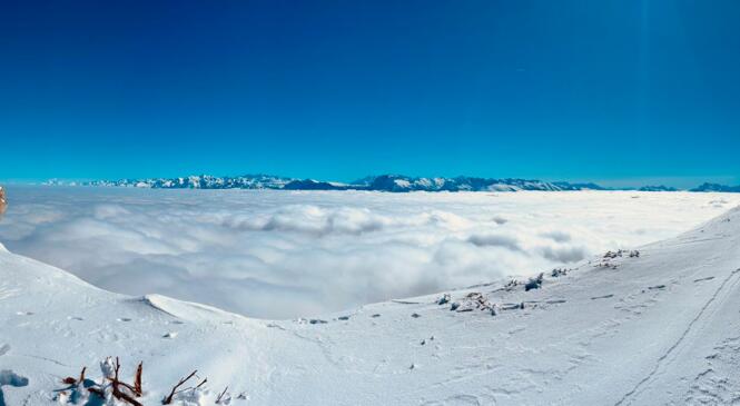 Week-end au Paradis Blanc. image article