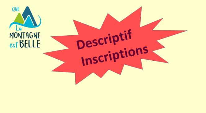 image article