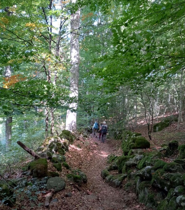 Photo n°3 : chemin