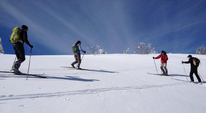 SRN le 21 janvier : exercices et petite rando image article