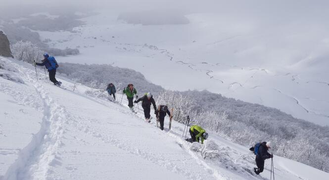 Une bien belle journée ce dimanche 4 février 2018 image article
