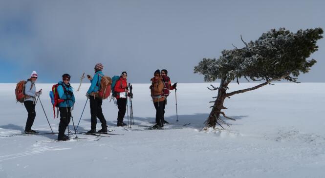 Traversée du Forez image article