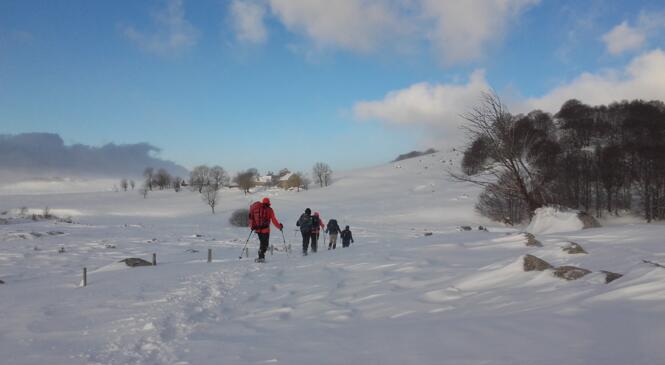 Week-end raquettes au Mont Lozère les 10 et 11 février image article
