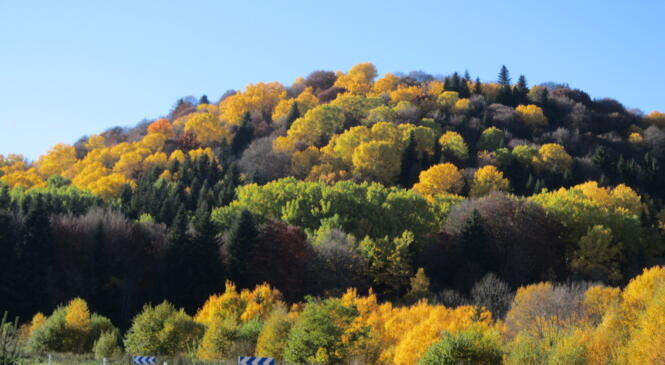 Assemblée générale du Comité régional d'Auvergne de la FFCAM le samedi 28 novembre 2015 image article
