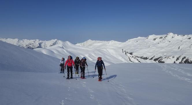 Autonomie raquettes mise en œuvre dans les Alpes (13-16 avril) image article