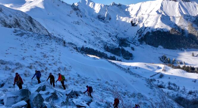 Initiation à la randonnée alpine le 18 janvier image article