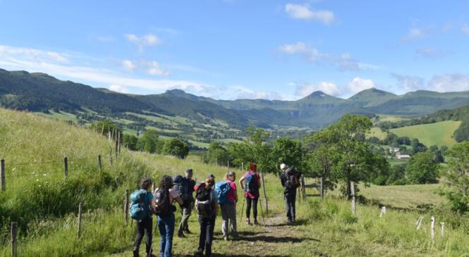 La vallée de la Petite Rhue le 7 juin image article