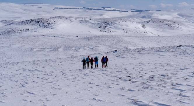 Randonnée dans les Monts du Cézallier dimanche 21 mars image article