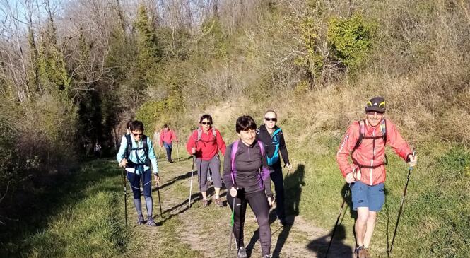 La marche nordique au Club Alpin de Clermont, une activité en plein essor image article