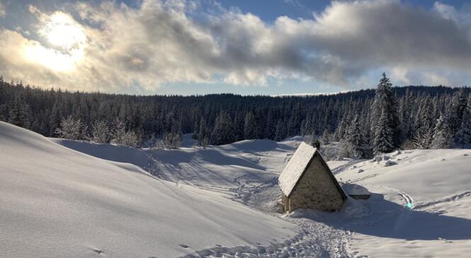 Traversée du Vercors du 13 au 17 février 2022 image article