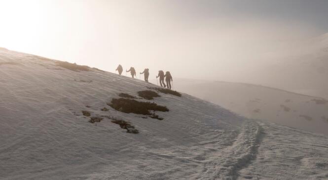Mont Thabor : une dernière sortie raquettes pour la saison image article
