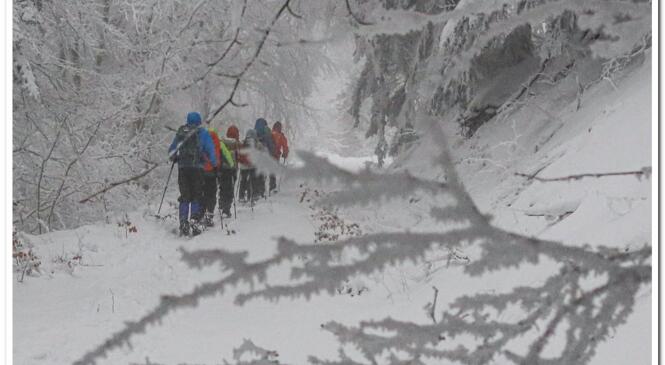 Raquette hivernale à Louchadière. image article