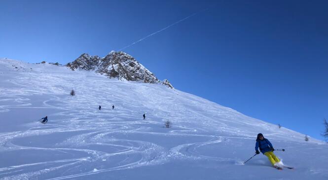 Hors-piste pour apprivoiser en ski les pentes enneigées. image article
