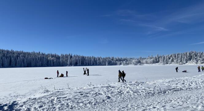 Raquettes vers le lac de Servières. image article