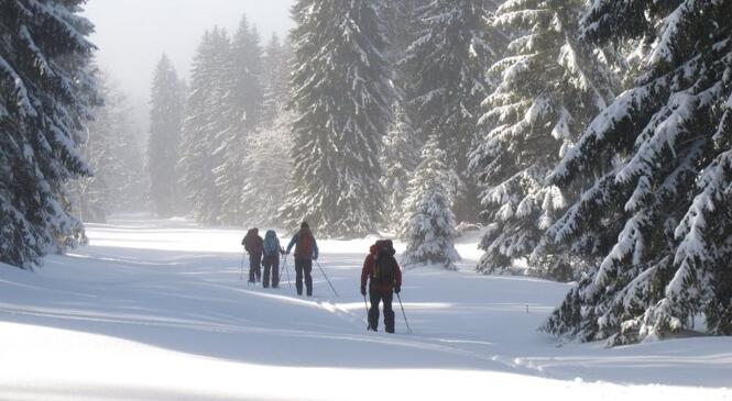 Ski de randonnée nordique dans le Jura du 1er au 7 février 2016 image article