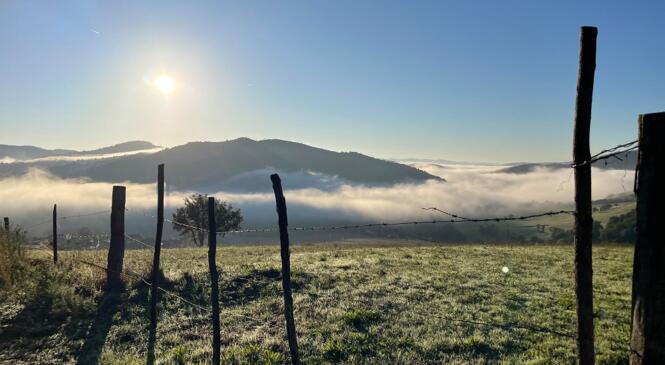 Randonnée dans le Haut-Allier le 26 septembre image article