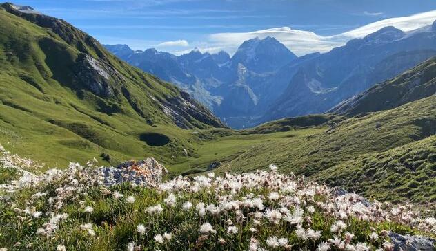 Les dessus chics... de la Vanoise ! image article