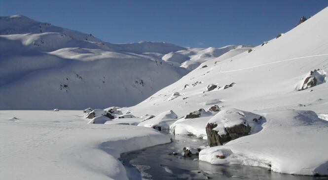 La protection de la montagne: pour une nature préservée image article