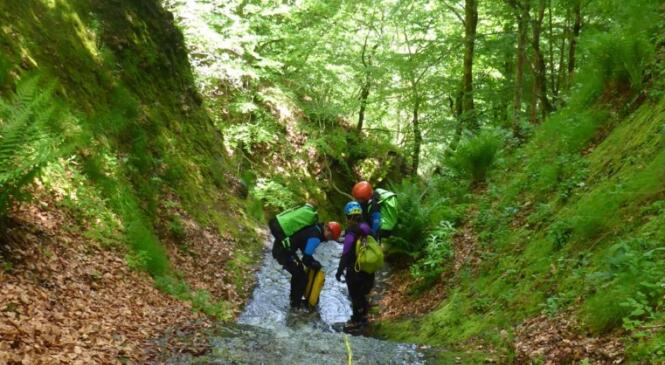 Canyon de Ricou la Peyre (Cantal, près du col de Serre). image article