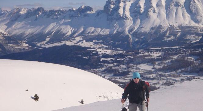 Voyage en terre inconnue image article