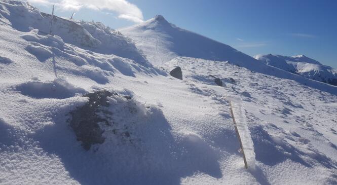 Un week-end de randonnée raquettes dans le Cantal. image article