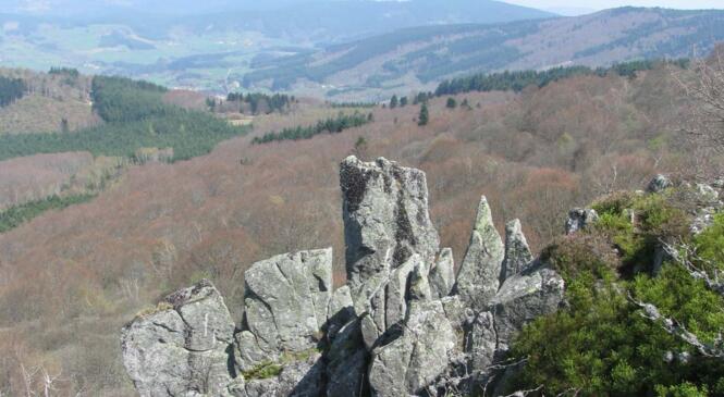 Thiers - L’Hermitage entre les gouttes image article
