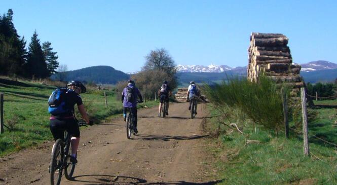 VTT autour de la Ventouse image article